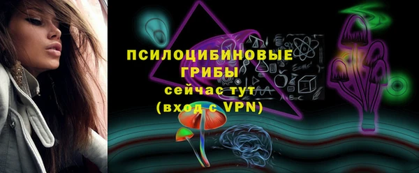 дживик Богородск