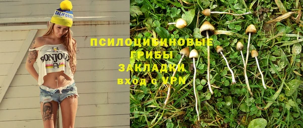 дживик Богородск
