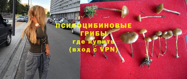 альфа пвп Богданович