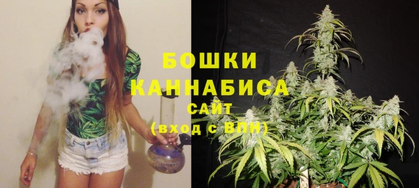 дживик Богородск