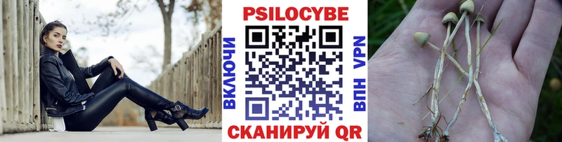 Псилоцибиновые грибы прущие грибы Трубчевск